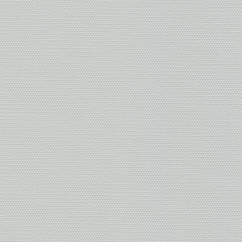 6002 20209